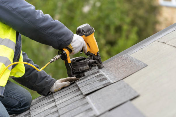 Best Roof Moss and Algae Removal  in Ozk, AR