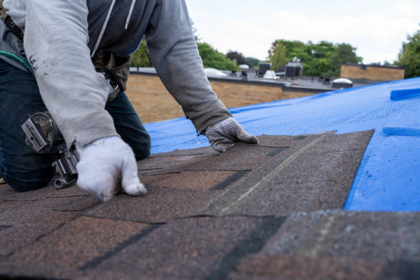 Best Rubber Roofing (EPDM, TPO)  in Ozk, AR